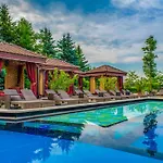 Hotel Meses Shiraz Superior-adults Only 4*