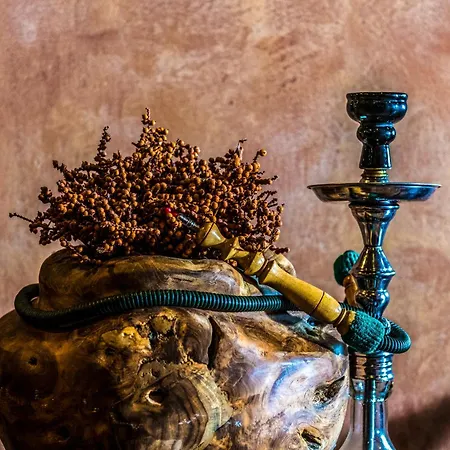 Meses Shiraz Superior-adults Only 酒店 4*